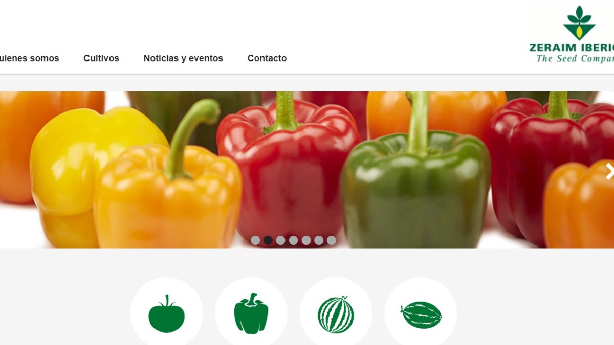 La página web de Zeraim, moderna y funcional para mejorar la experiencia de los usuarios.