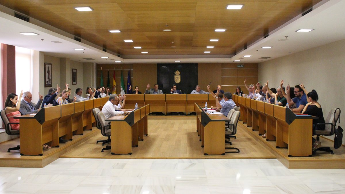 Todos los acuerdos de la sesión plenaria han sido aprobados por unanimidad.