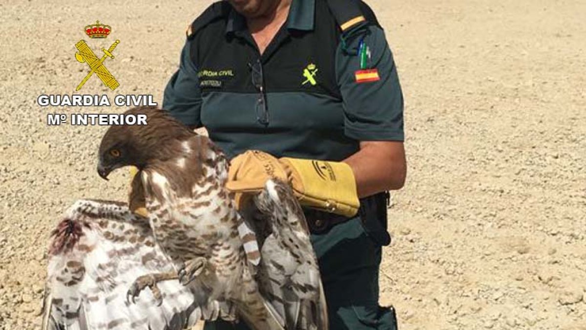 Un agente con el águila herida en el ala.