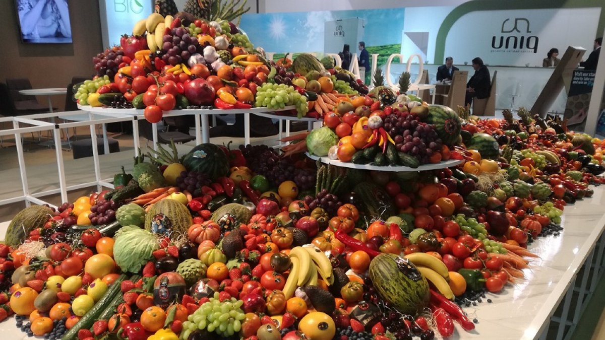 Las frutas y hortalizas almerienses de calidad reconocida dentro de la agricultura andaluza.