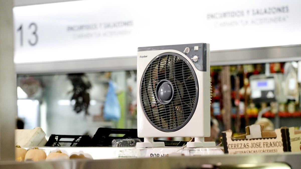 Otro remedio común contra el calor es la utilización de ventiladores.