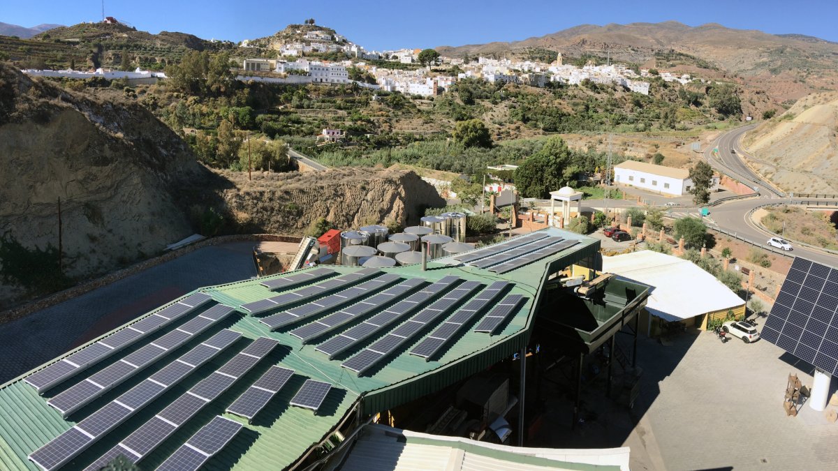 Paneles solares sobre las cubiertas de la Almazara