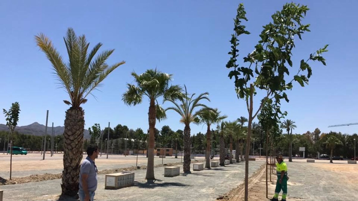Nuevos árboles plantados en el Recinto Ferial.