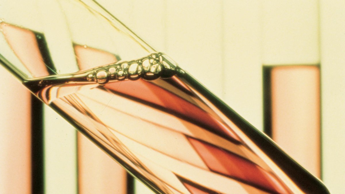 El avance científico que abre el camino para curar enfermedades raras y otras como el cáncer, a través de la edición genética, no podrá ser aplicado