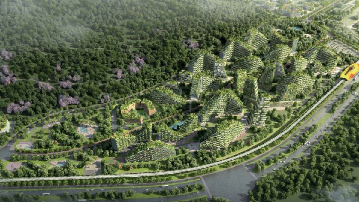 Proyecto de la ciudad verde. / Boeri