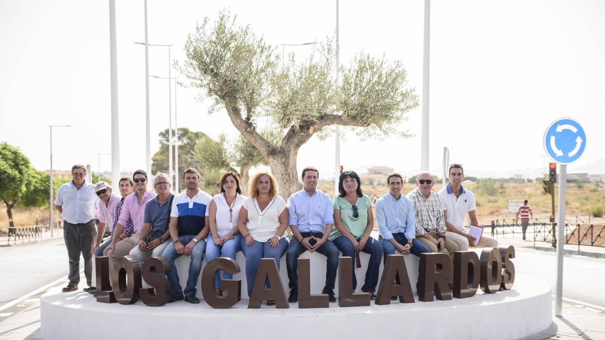 Los ediles de Los Gallardos, técnicos y diputados han visitado la glorieta,