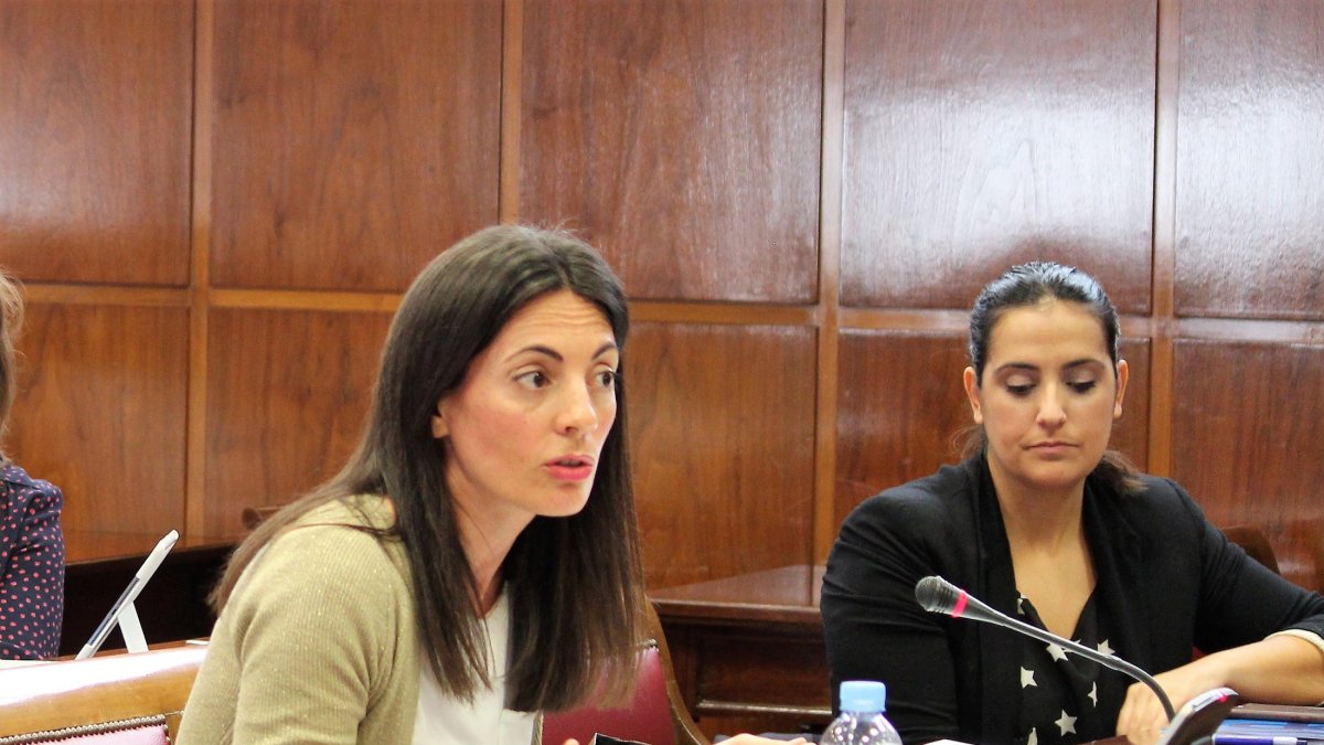 Rosario Soto, portavoz de Empleo en el Senado