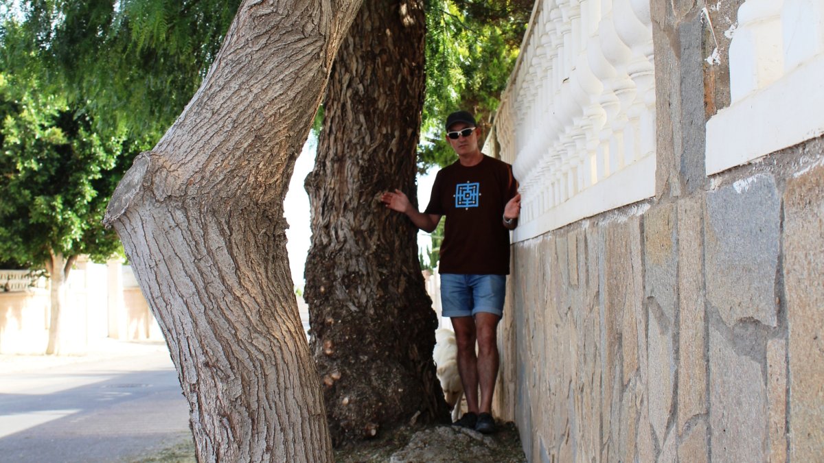 Aceras en tierra y con arbolado impidiendo la movilidad peatonal.