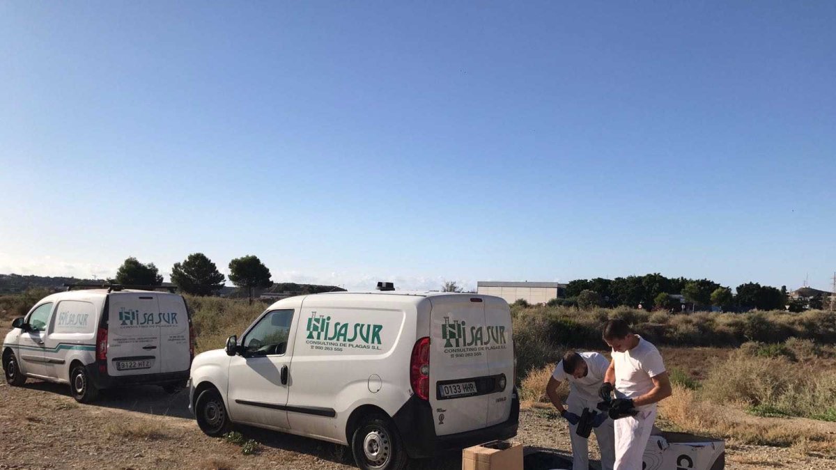 Labores de desratización en la zona afectada.