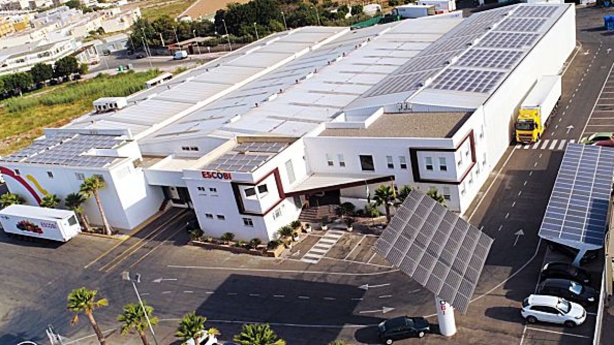 Instalación de Proconsult en Escobi