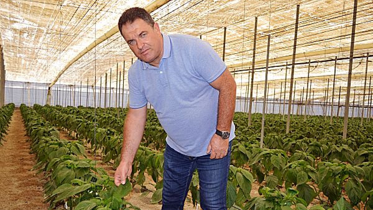 Antonio Moreno, responsable de Seguros Agrarios de COAG