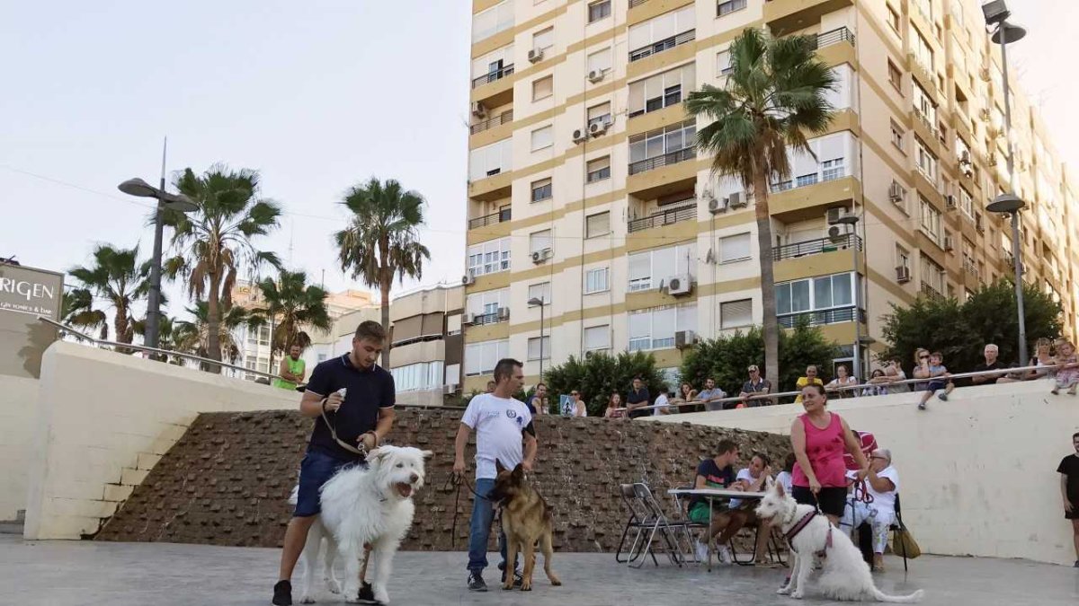 Más de 50 perros participaron en esta cita en el Anfiteatro de la Rambla.