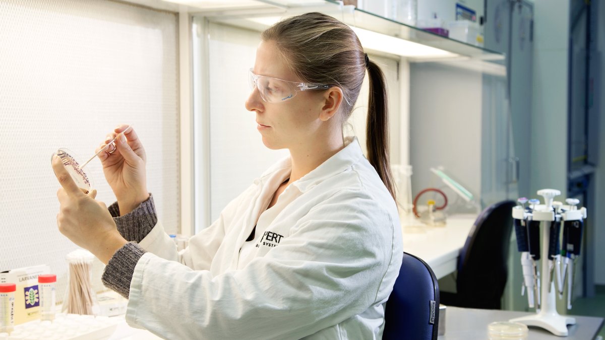 Investigadora trabajando para Koppert en uno de sus laboratorios.