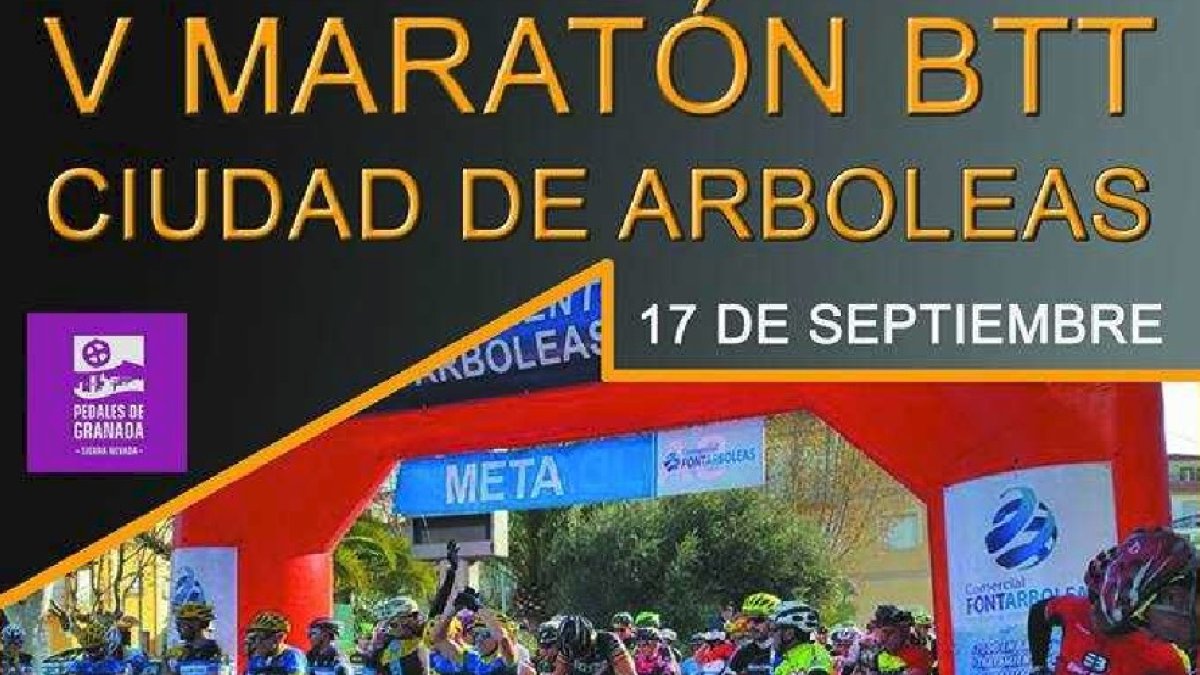 Una gran carrera se pone en marcha.