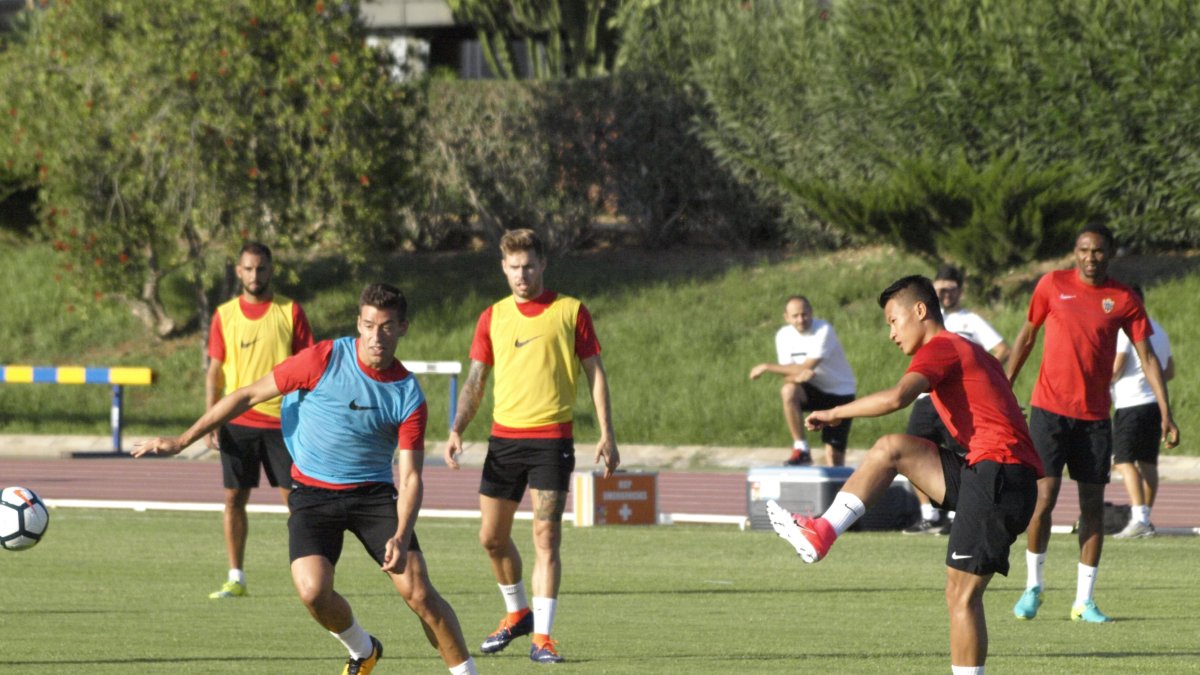 Alcaraz en el entrenamiento.