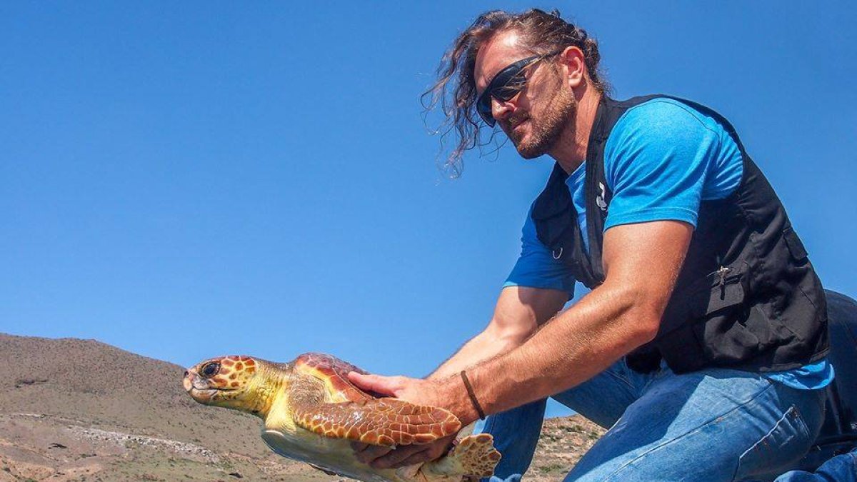 Kika momentos antes de ser reintroducida en el mar.