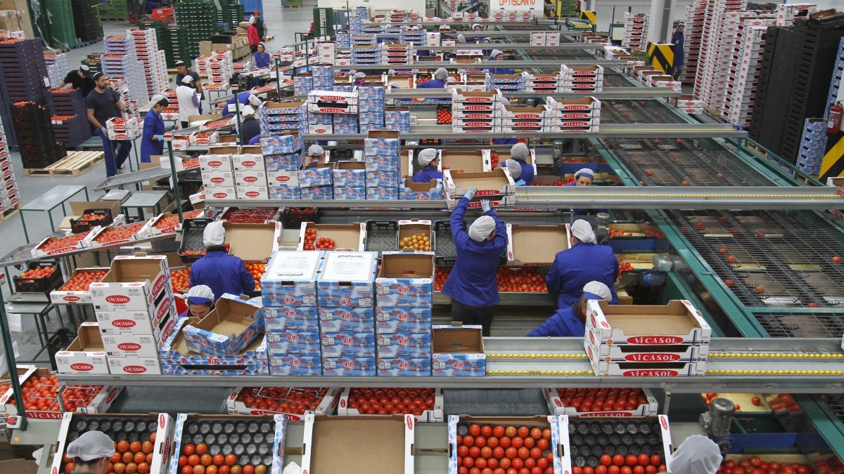 Almacén de Vicasol, una empresa modelo para el 