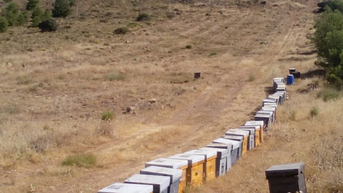 Explotación afectada por el robo