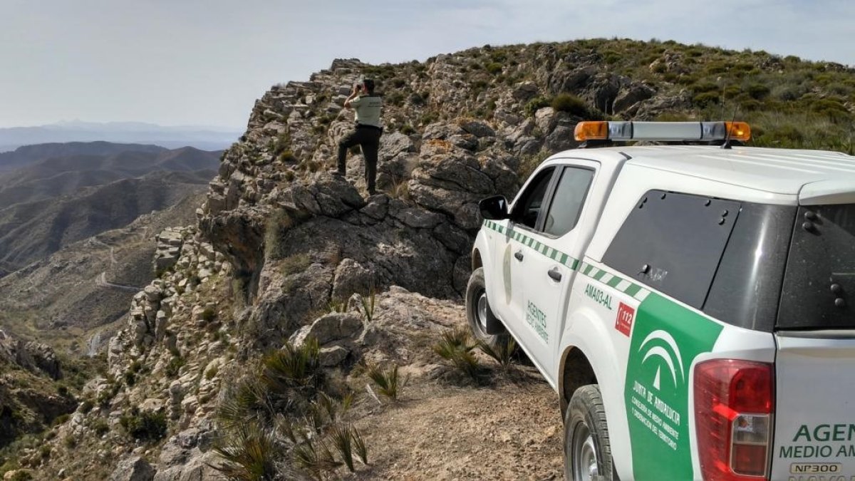 Agentes de Medio Ambiente vigilan la zona.