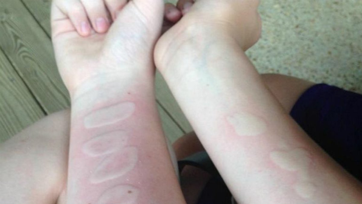 El último reto viral. / Reddit