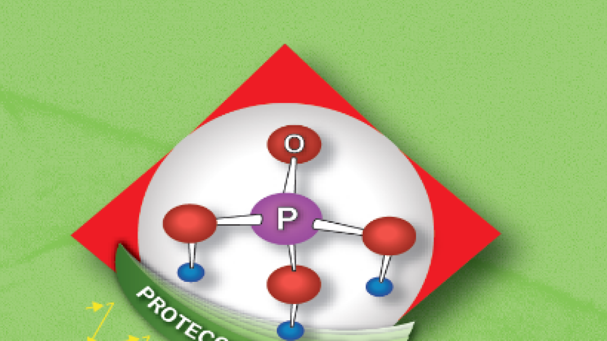 Logotipo de STERIC-P, de Comercial Química Massó S.A.