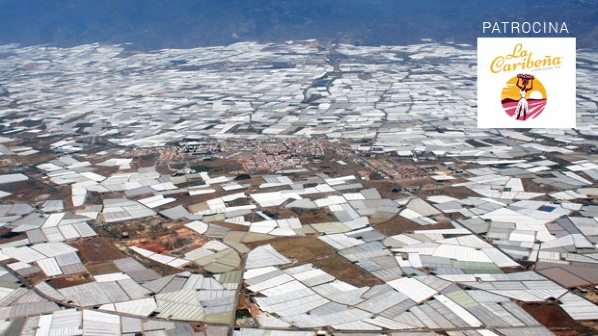 Invernaderos en la provincia de Almería.