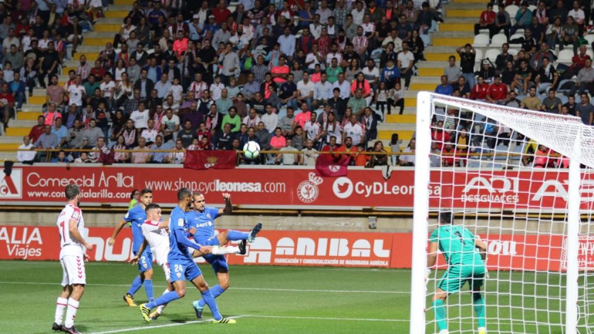 René bajo palos es un seguro.