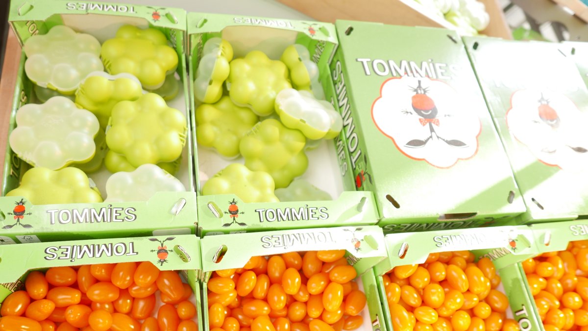 Envases para tomate Tommies en el mercado de Rotterdam (Holanda).