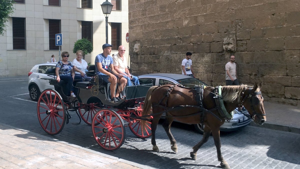 El cochero Salmerón hijo circulando con su carruaje y mulo, con unos clientes, por los adoquines de la calle Velázquez.
