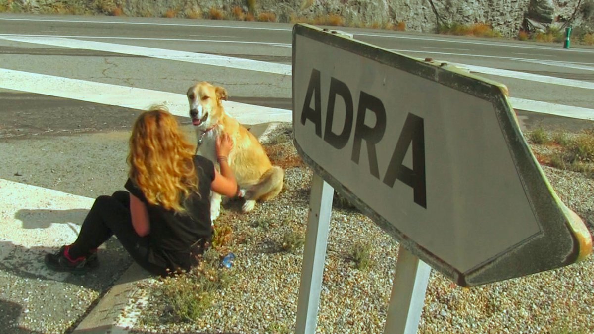 Aston, en el lugar en el que fue abandonado, en una foto difundida por EL Refugio.
