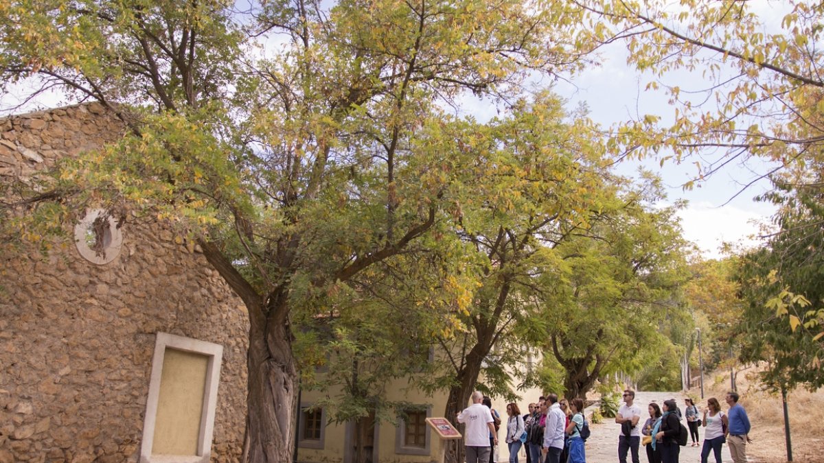 Participantes en el Fam Trip durante la visita.