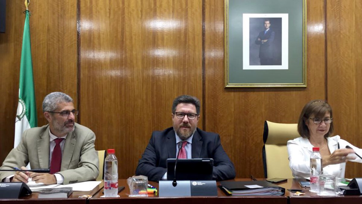 El consejero de Agricultura, Rodrigo Sánchez Haro, durante la comisión parlamentaria celebrada el pasado 9 de octubre.