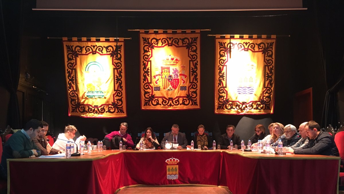 Ssesión plenaria celebrada recientemente en el salón de actos del Ayuntamiento de Albox.