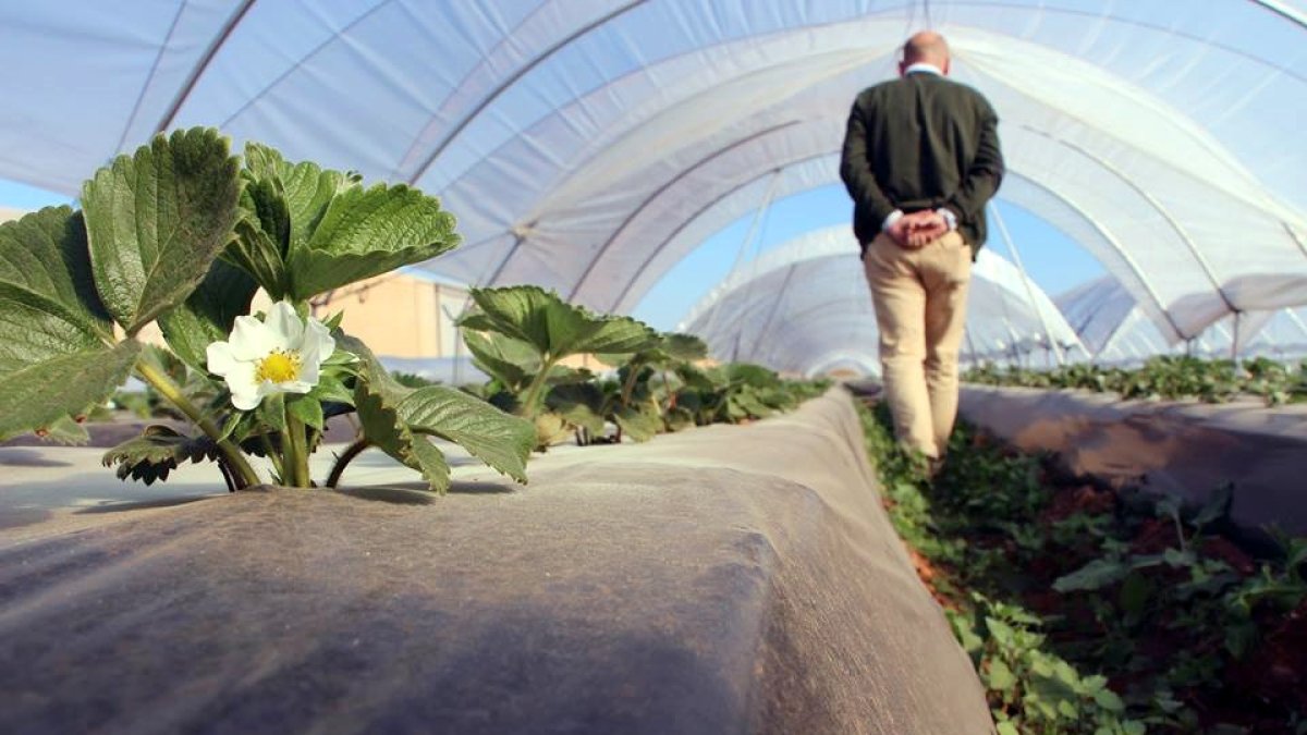 Explotación  de Haciendas Bio en Almería dedicada a la producción ecológica.