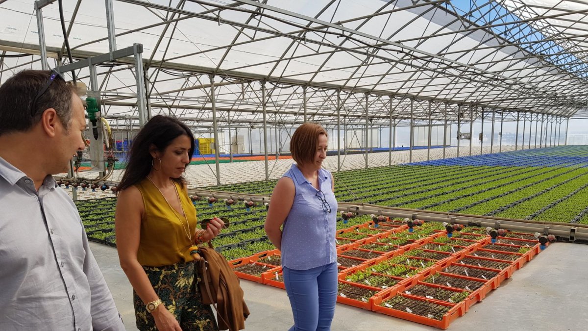 La parlamentaria de Cs visita las instalaciones agrícolas de Cuadraspania, en Burjulú.