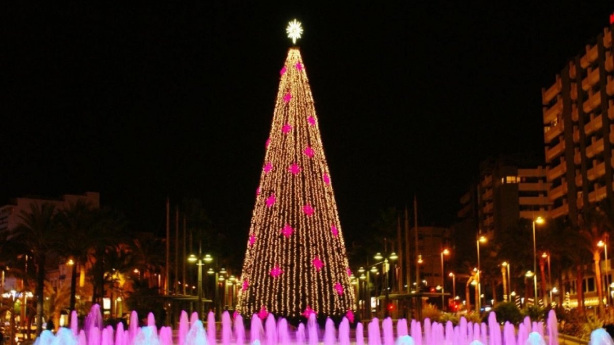 El abeto de la Plaza de las Velas será este año más alto.