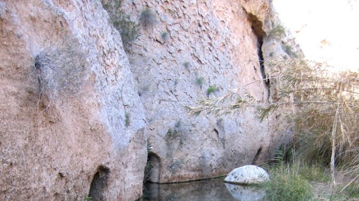 El manantial del Río Aguas sufre una situación de peligro extremo.