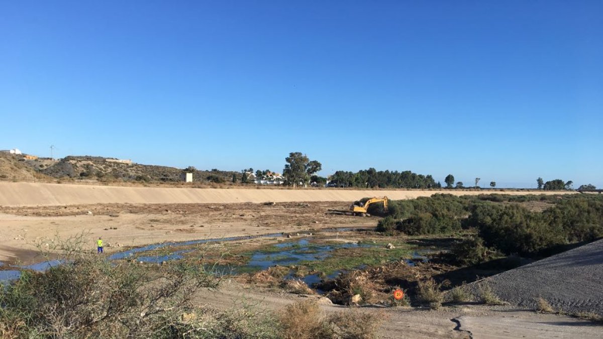 Operarios realizan trabajos de desbroce y adecuación del cauce del río Almanzora.