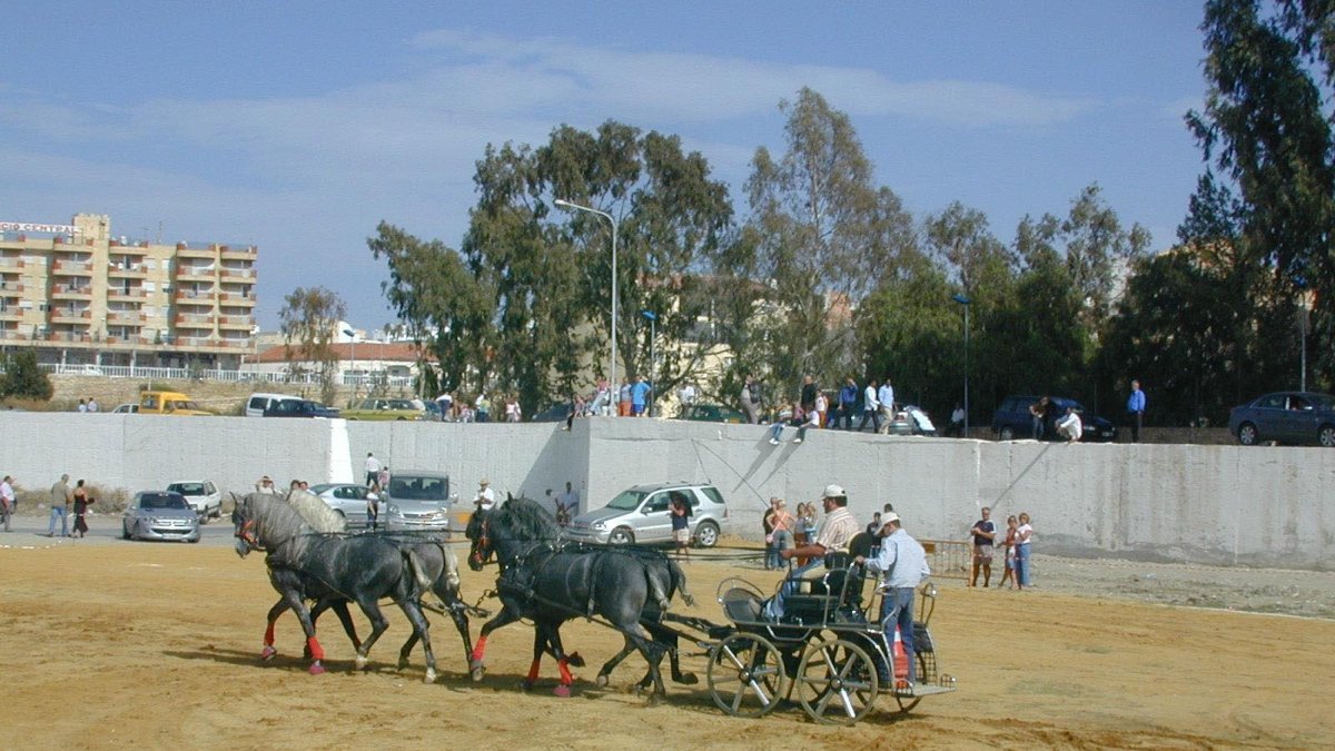 Imagen de la Feria del Ganado en Albox.