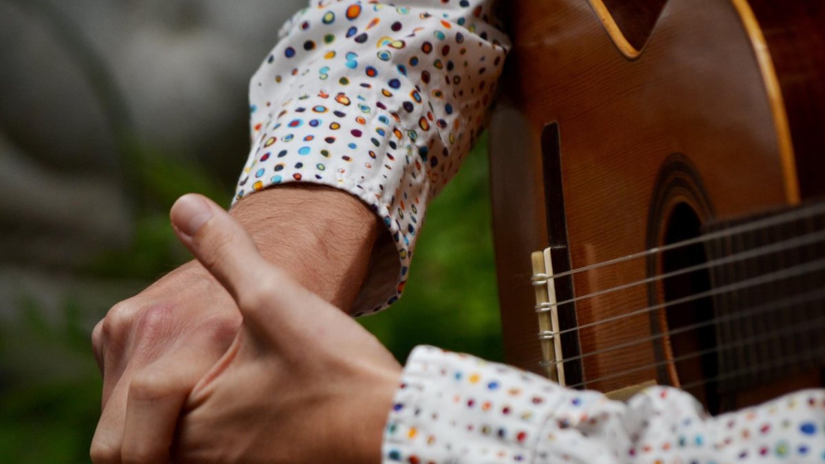 Detalle de las manos de Alejandro Aparicio durante una reciente actuación. (Foto: Yolanda Girón)