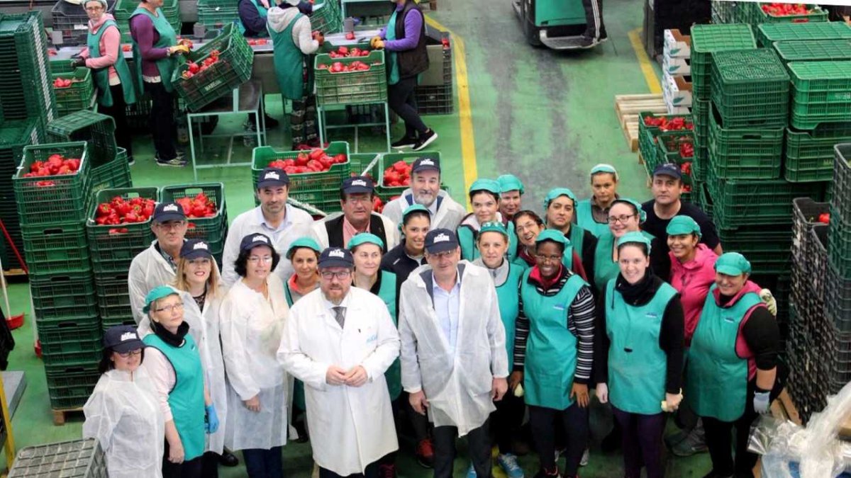 Rodrigo Sánchez Haro ha visitado en El Ejido las instalaciones de la empresa Hortofrutícola Mabe.