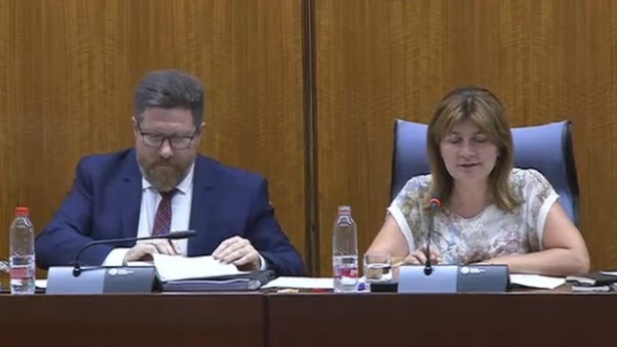 El consejero de Agricultura, Rodrigo Sánchez Haro, en una comparecencia en el Parlamento andaluz.