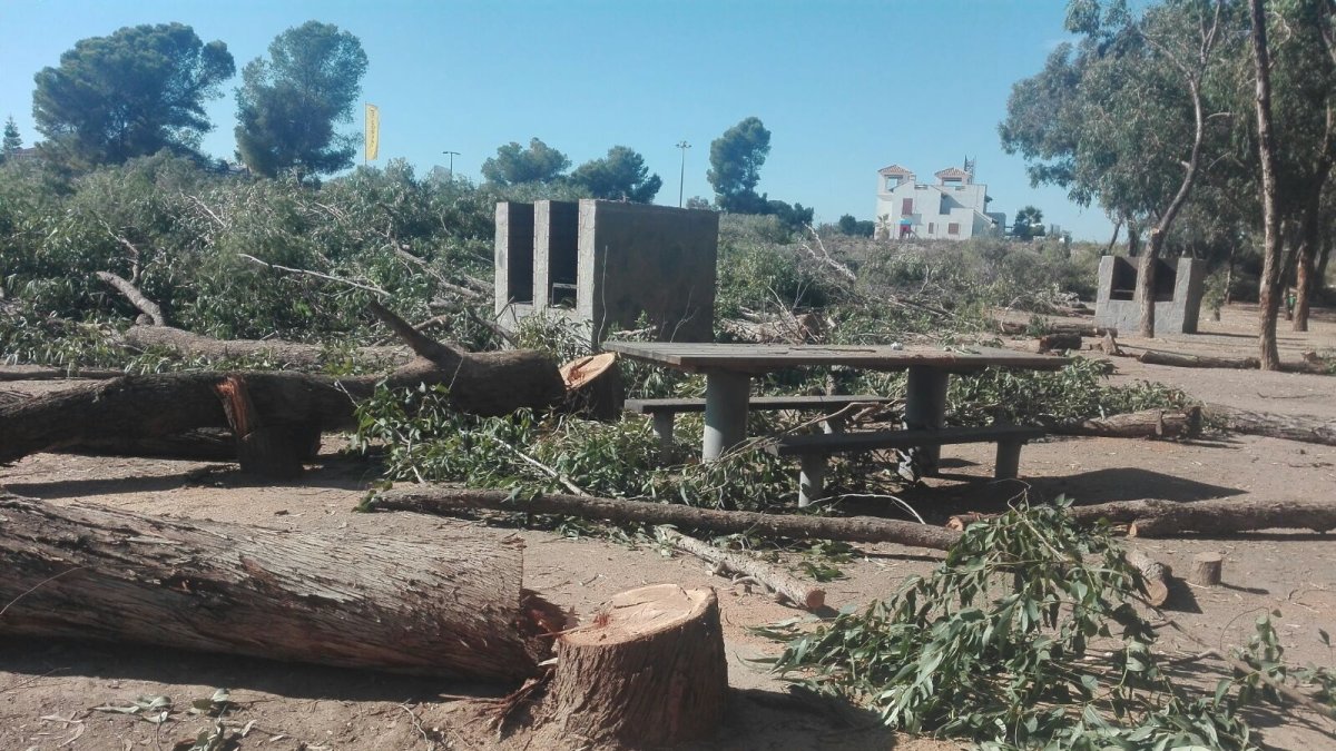 Árboles talados en la zona del merendero de Vera Playa.
