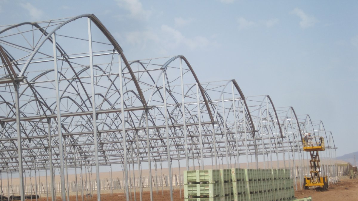 Cada vez se desarrollan más tecnologías para optimizar la productividad de los invernaderos.