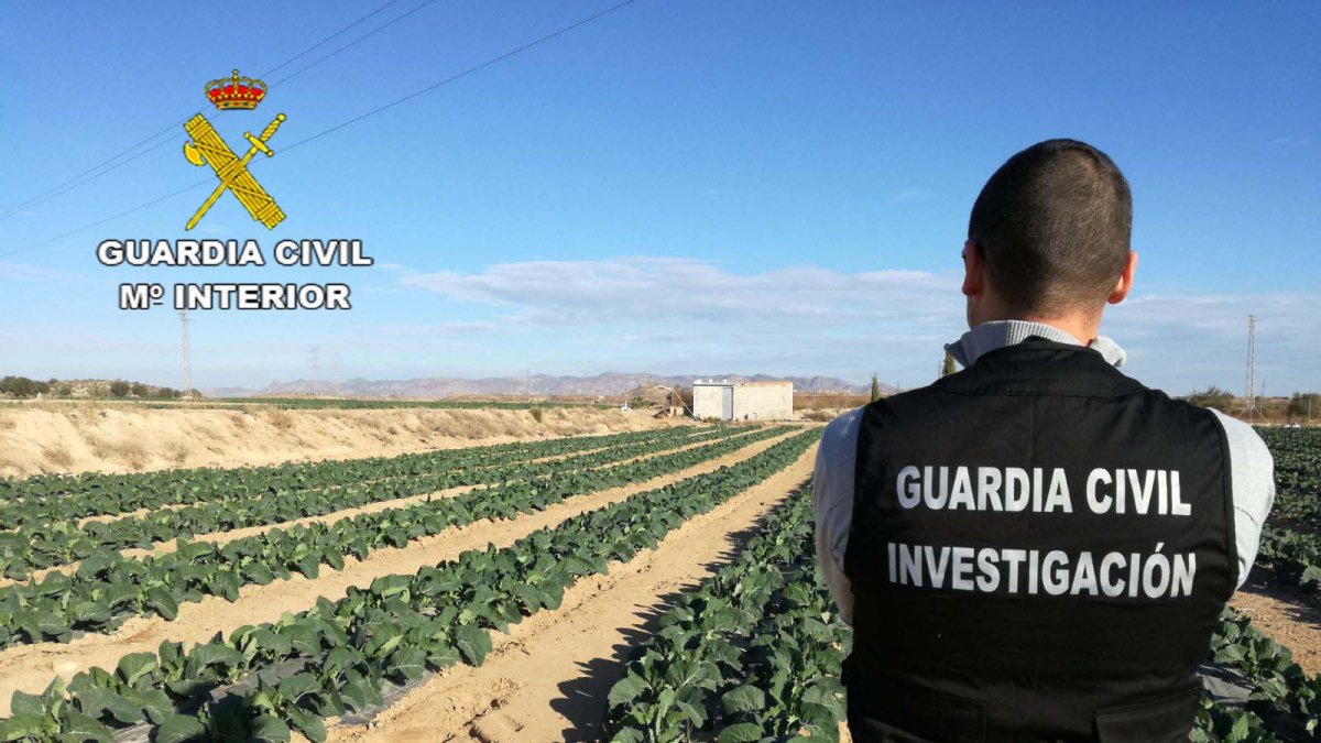 Explotación agrícola donde sucedió el robo.