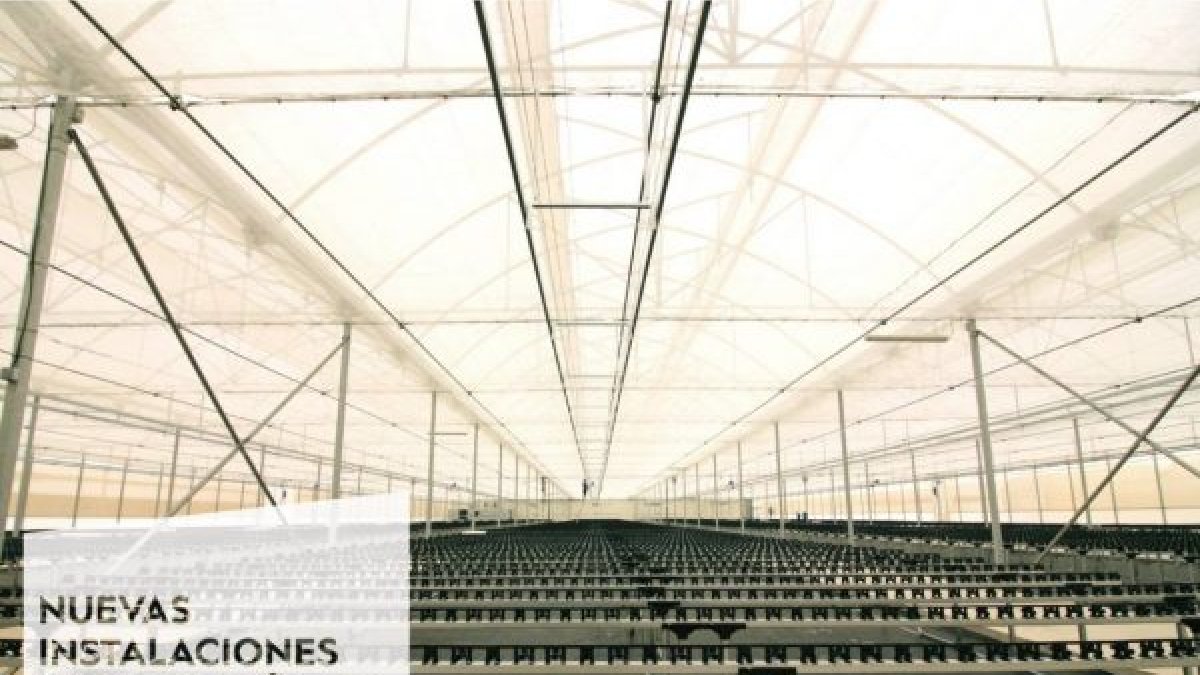 Nuevas instalaciones para producción ecológica. Foto: Grupo Cristalplant.