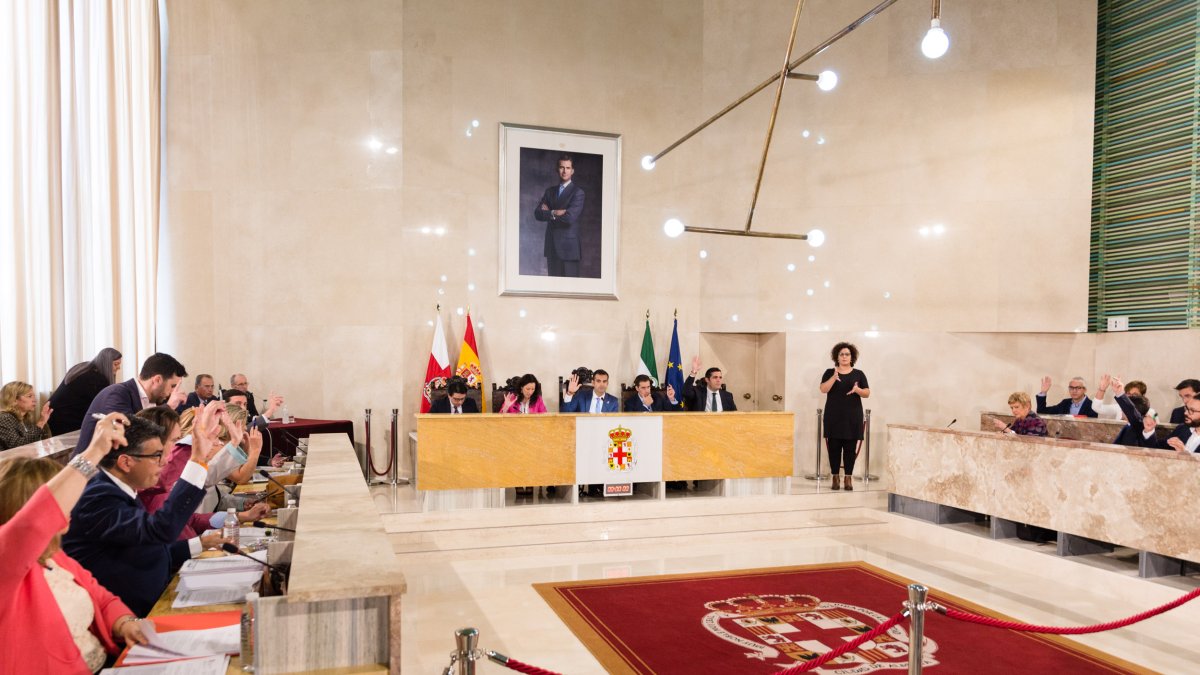 Pleno del Ayuntamiento.