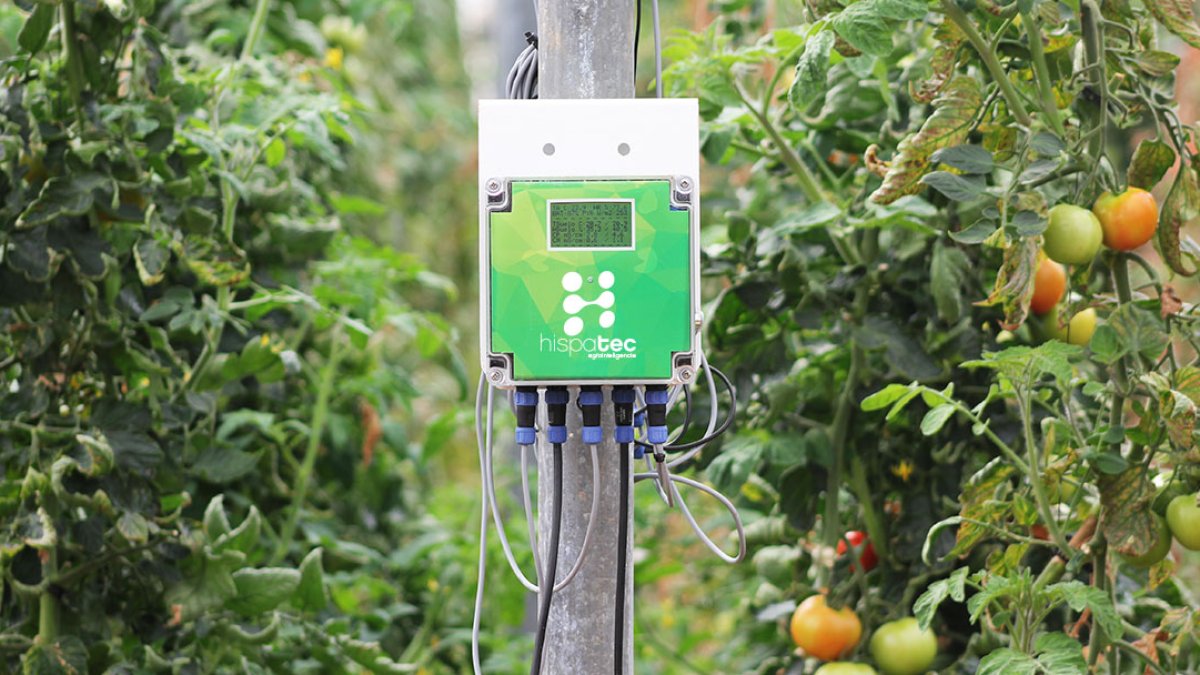 Unidad central de Hortisys. A ella se conectan los sensores directamente o bien otras unidades auxiliares por Bluetooth. Foto: Hispatec.