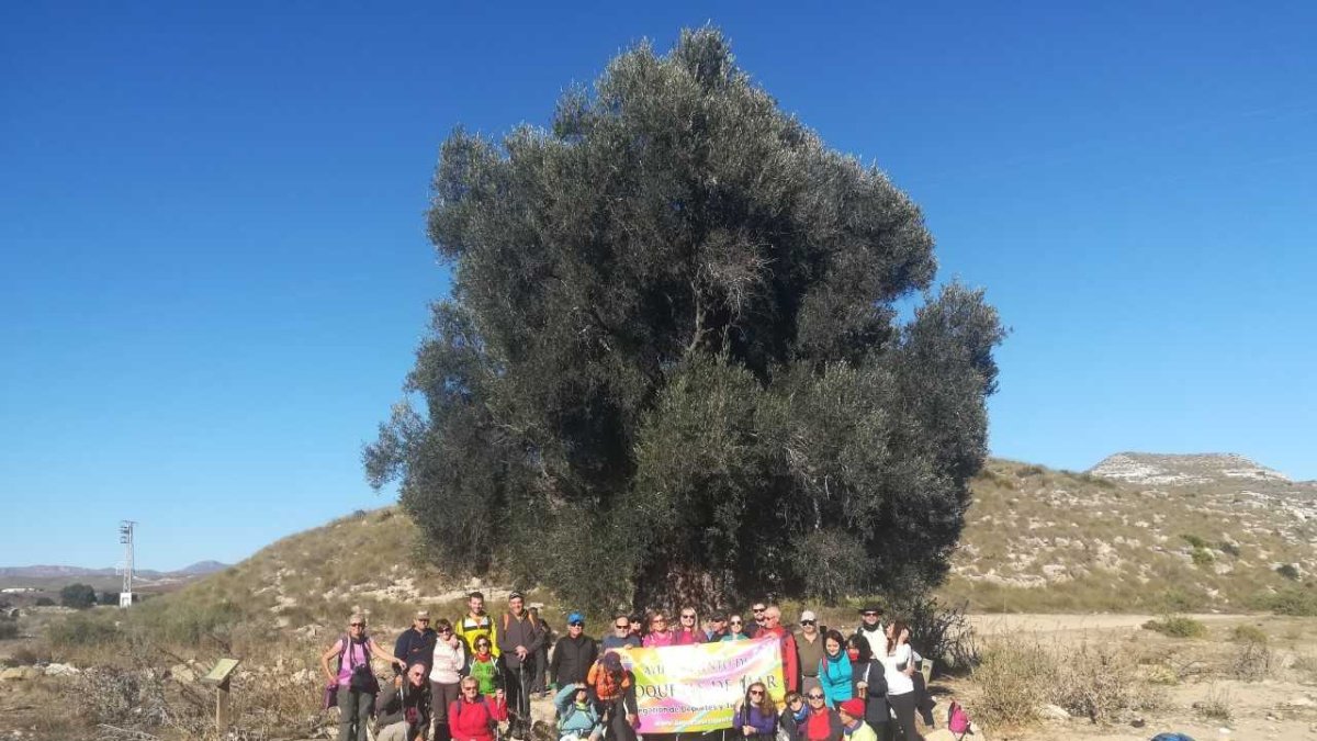 Los protagonistas de la aventura.