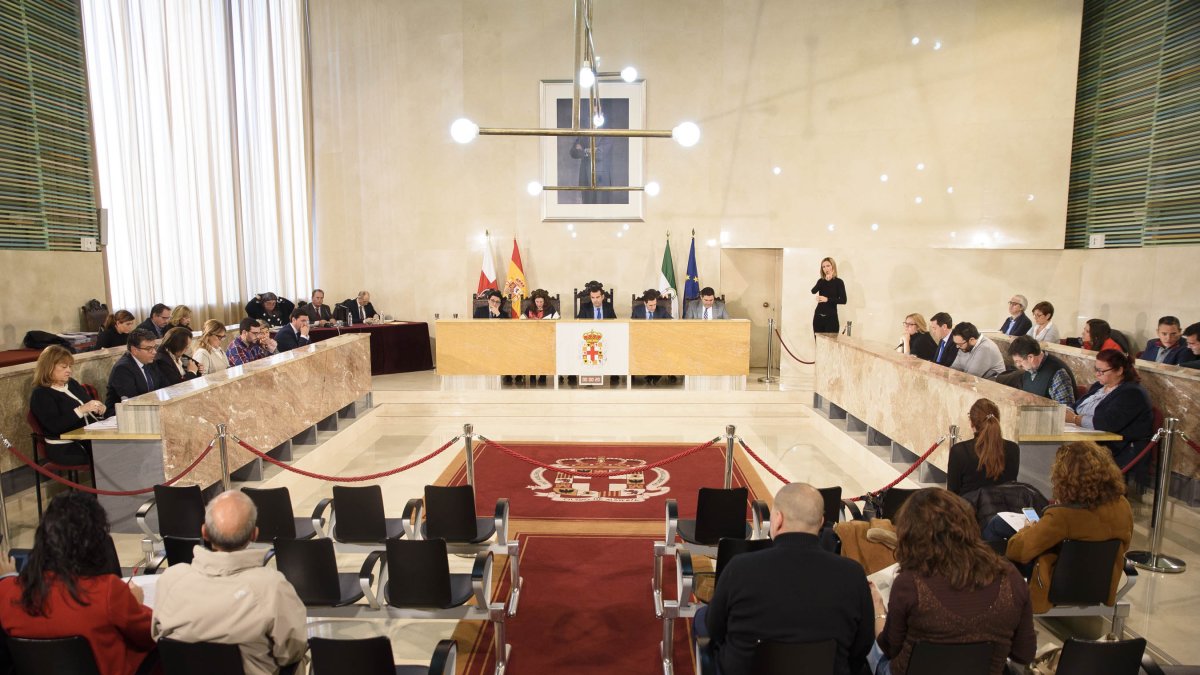 Vista general del salón de plenos